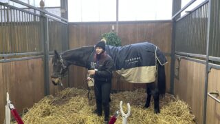 cavallo varenne lato