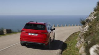 skoda karoq posteriore