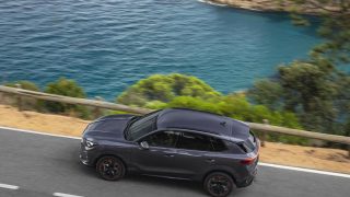 Cupra Terramar alto