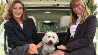 Cani e gatti in auto cover